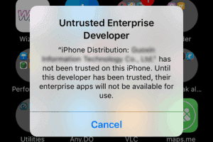 Untrusted enterprise developer