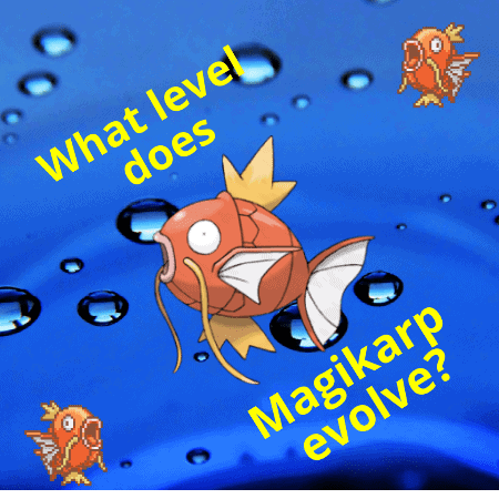 What level magikarp evolve