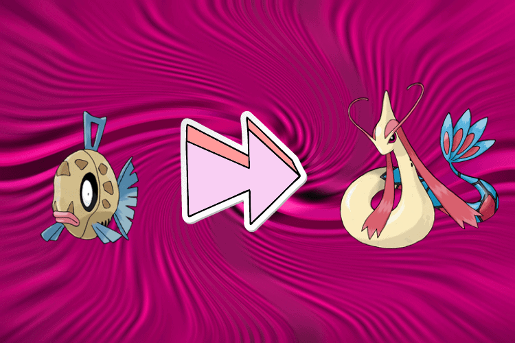 How to evolve feebas into milotic