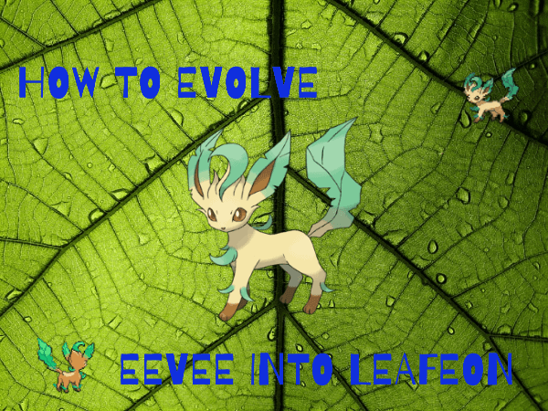 How to evolve eevee into leafeon