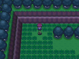How To Evolve Eevee Into Leafeon 2 Moss rock locations
