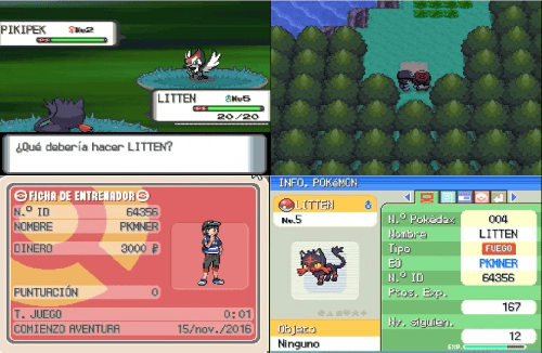 Pokemon White Deluxe + Cheat - A NDS Hack Rom, You can have a battle with  Brock on Unova Region! 
