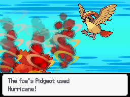 Pokemon following renegade platinum screenshot