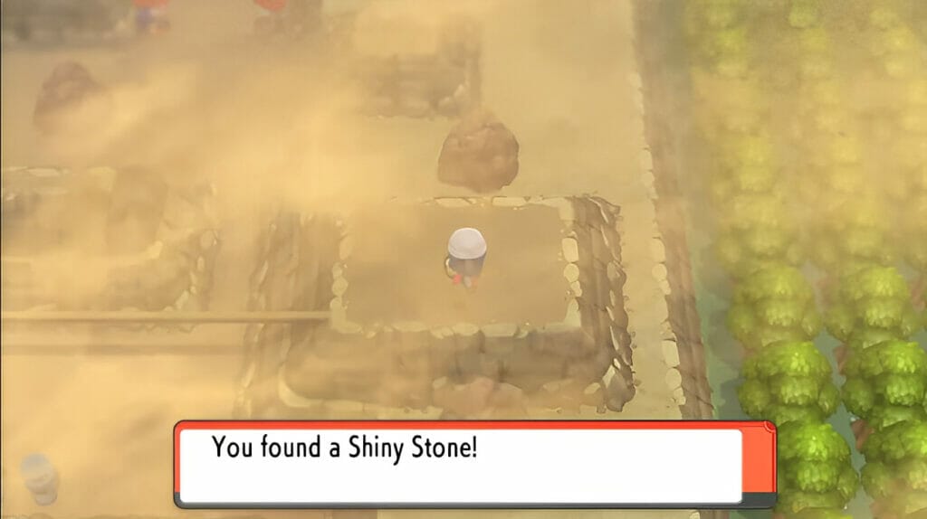 Shiny stone in route 228