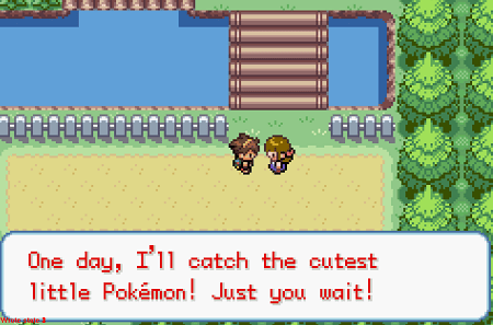 Pokemon wish version screenshots