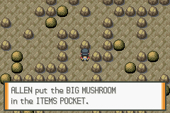 Pokemon liquid crystal 3. 3. 00512 july 2020 dark cave 3f big mushroom 1