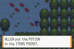 Pokemon liquid crystal 3. 3. 00512 july 2020 route 30 potion