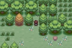 Pokemon wish demo 1. 02 cut james woods
