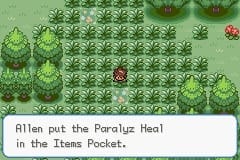 Pokemon wish demo 1. 02 james woods parlyz heal