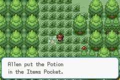 Pokemon wish demo 1. 02 james woods potion