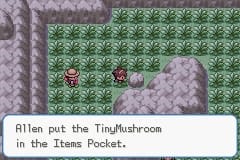 Pokemon wish demo 1. 02 route 6 south tinymushroom