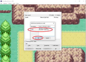 How to use cheats on vba step 4