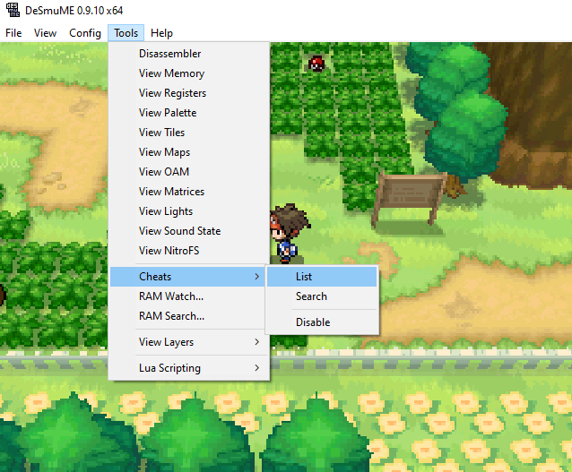 Pokemon modifier cheat ds open the cheat section