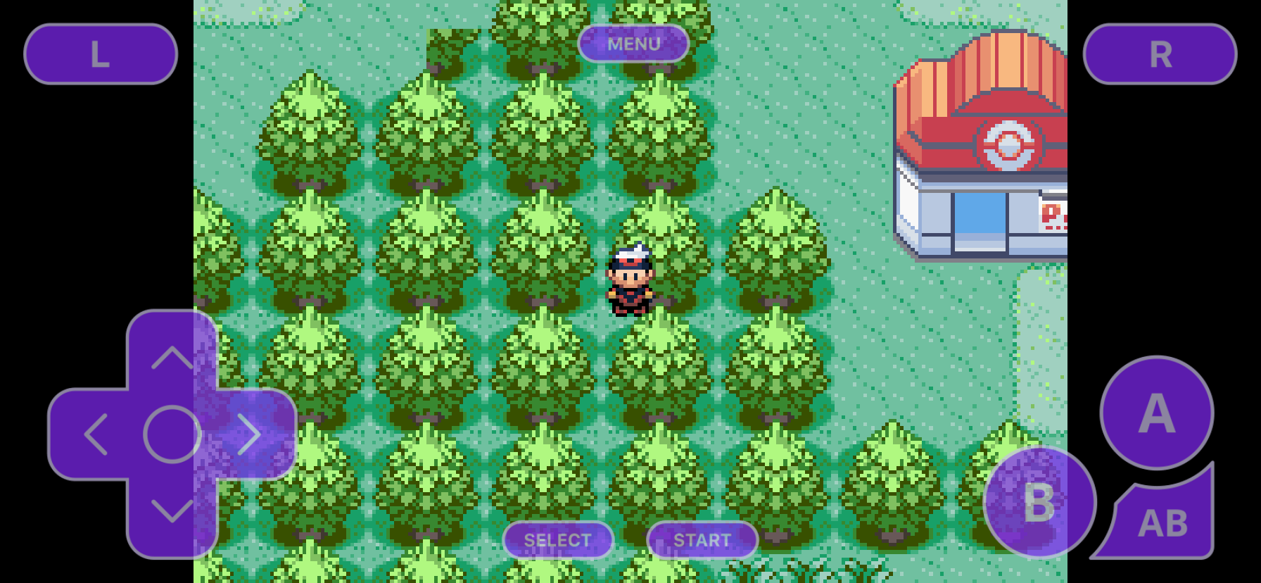 Pokemon Ruby Cheats - Gameshark Codes For Gameboy Advance