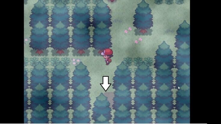 Viridian river entrance