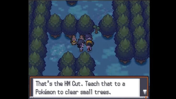 Pokemon HeartGold/SoulSilver cutting a tree